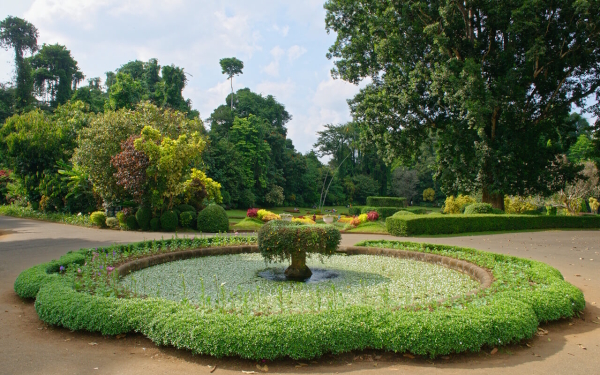 KANDY - Peradeniya Garden